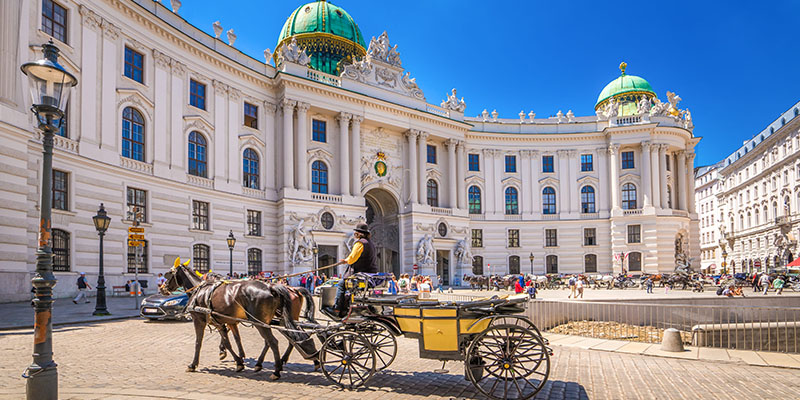 vienna horse and carraige
