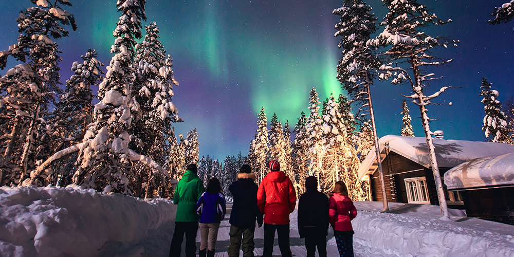 snowy northern lights