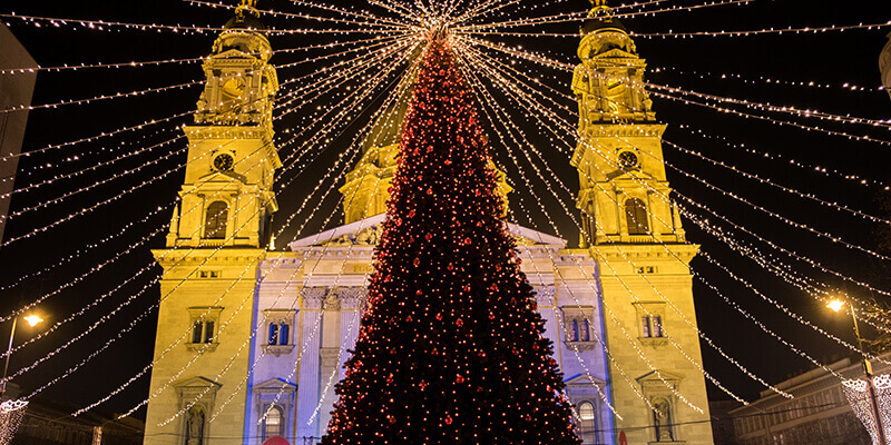 tree and lights