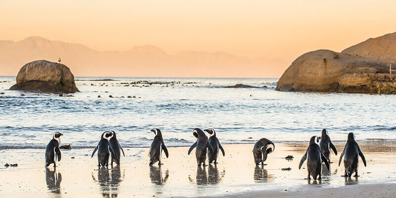 boulders beach