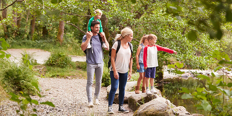 family in woods